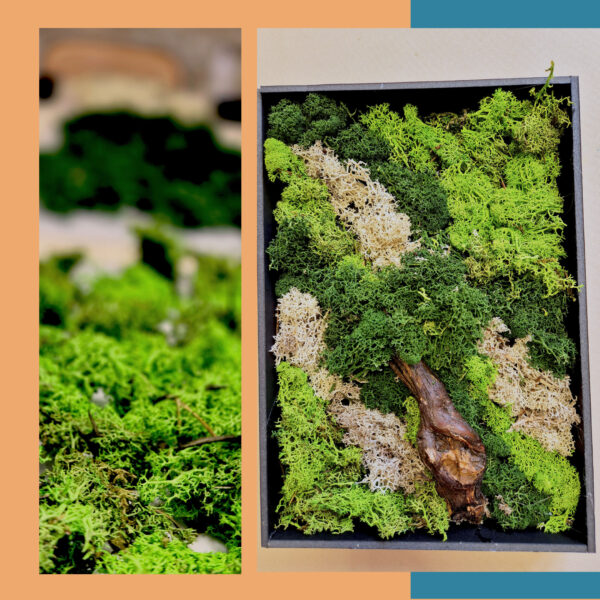 curs de arte plastice pentru copii, compoziție cu licheni stabilizați